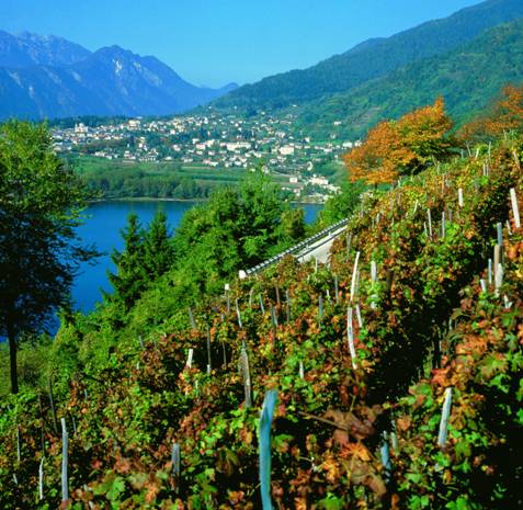 Levico Terme